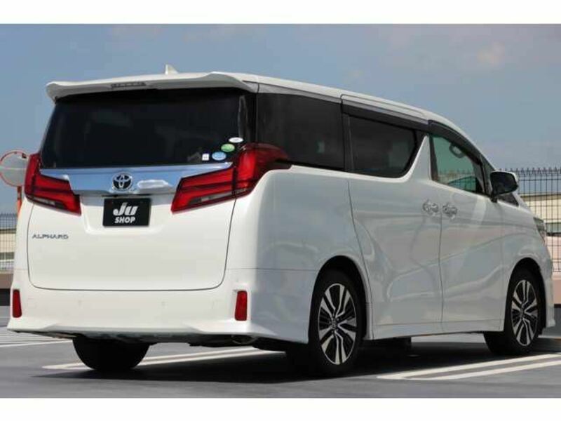 ALPHARD-13