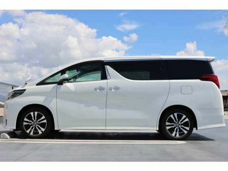 ALPHARD-14