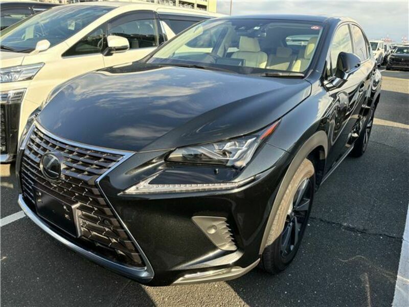 LEXUS　NX