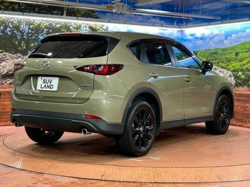 CX-5-17