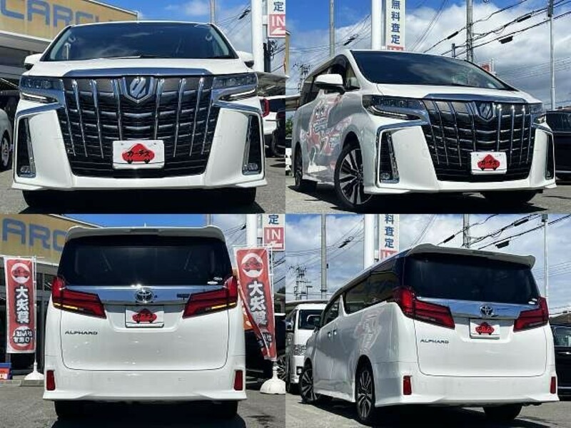 ALPHARD-8