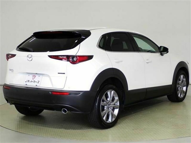 CX-30-3