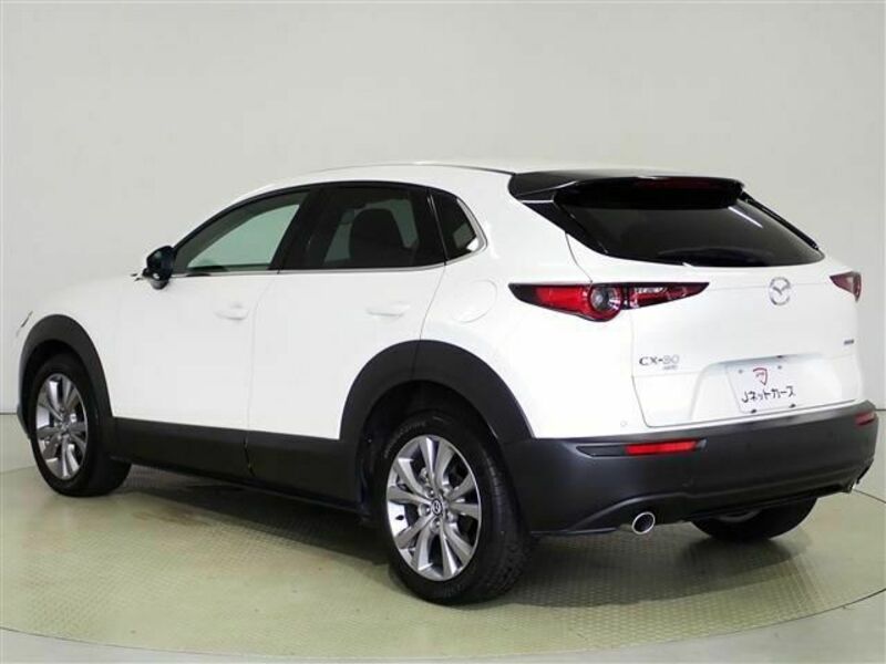 CX-30-6