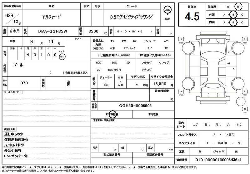 ALPHARD-10