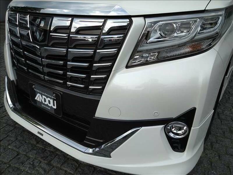 ALPHARD-7