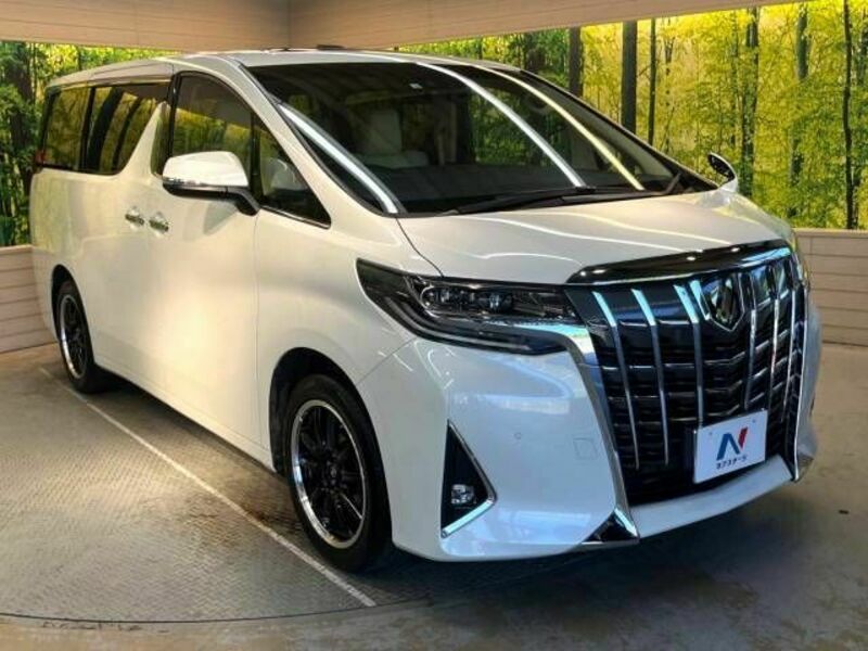 ALPHARD-17