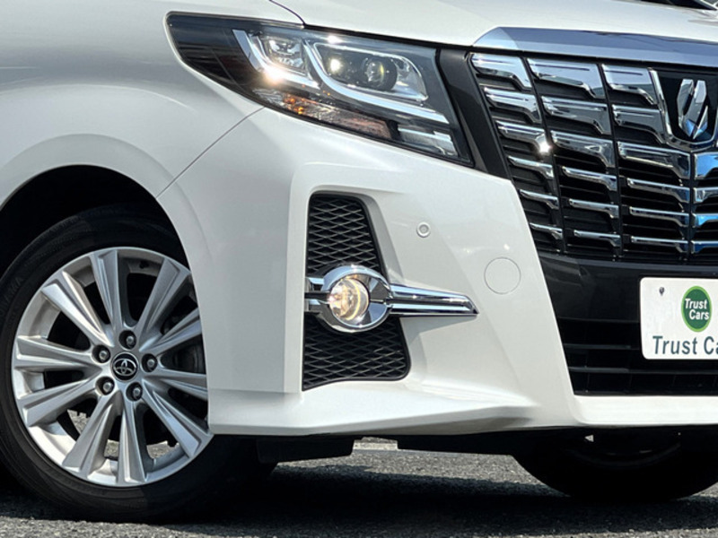 ALPHARD-16