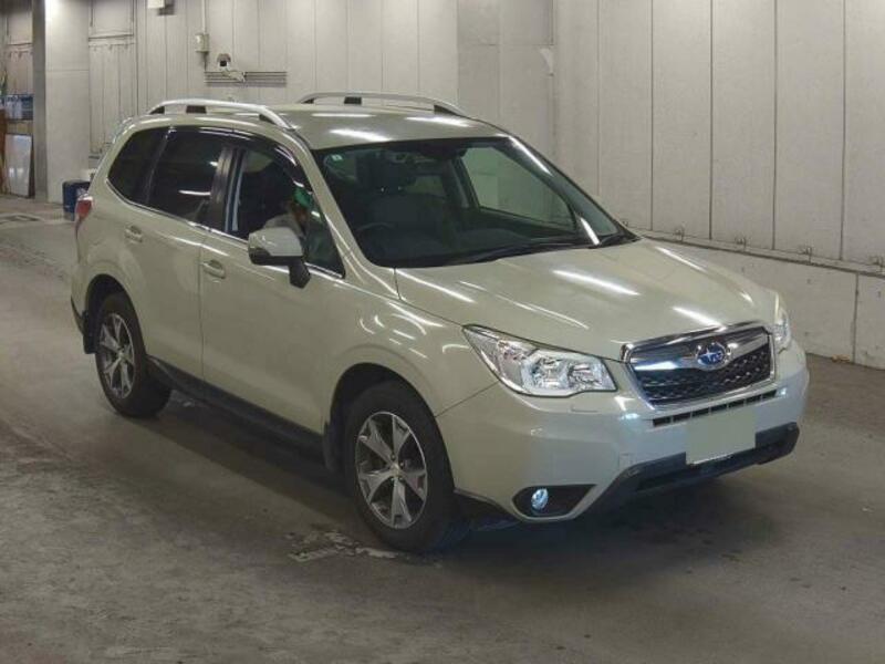 FORESTER-4