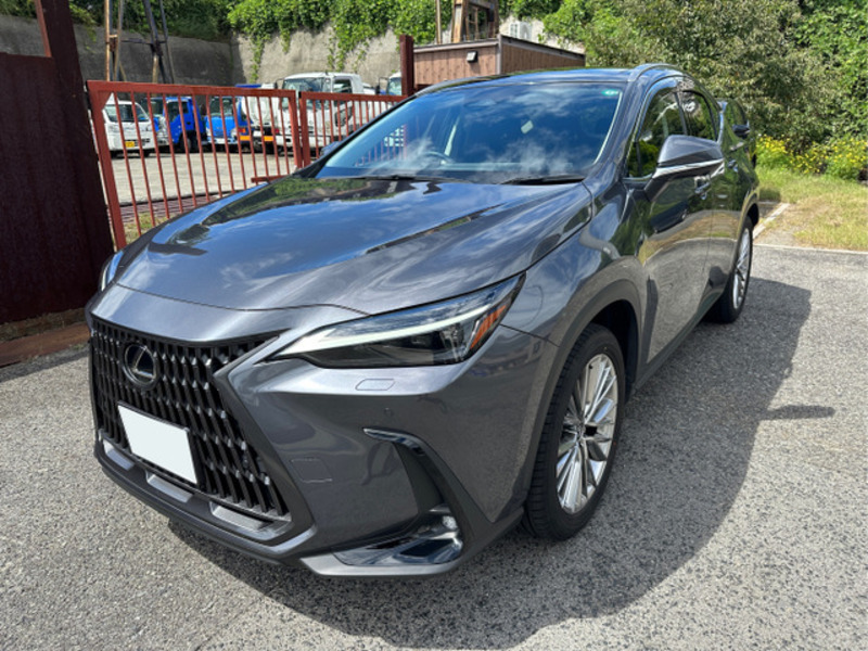 LEXUS　NX