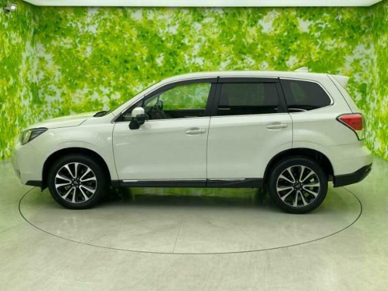 FORESTER-1