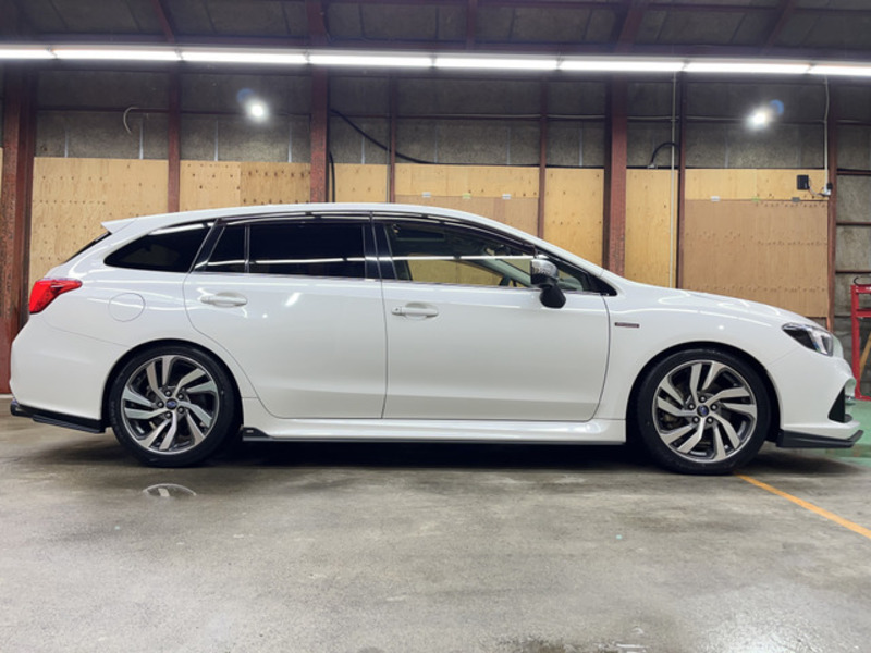 LEVORG-8