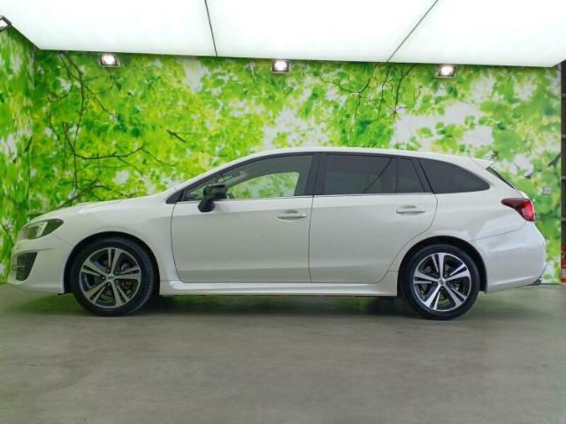 LEVORG-1