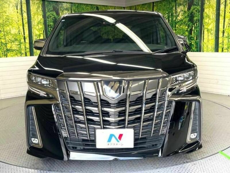 ALPHARD-15