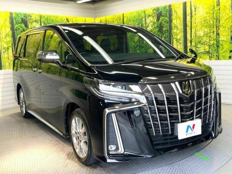 ALPHARD-17