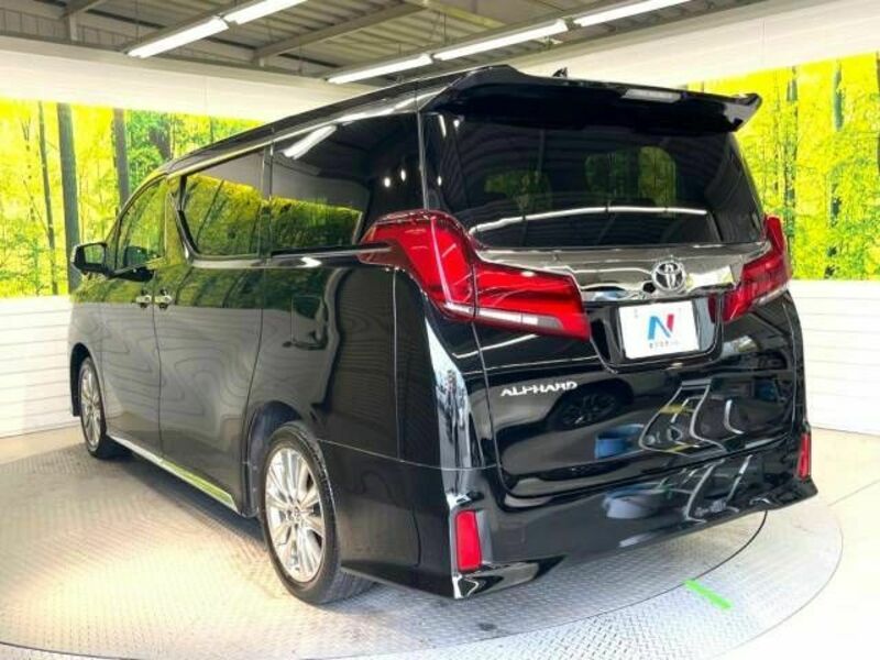 ALPHARD-18