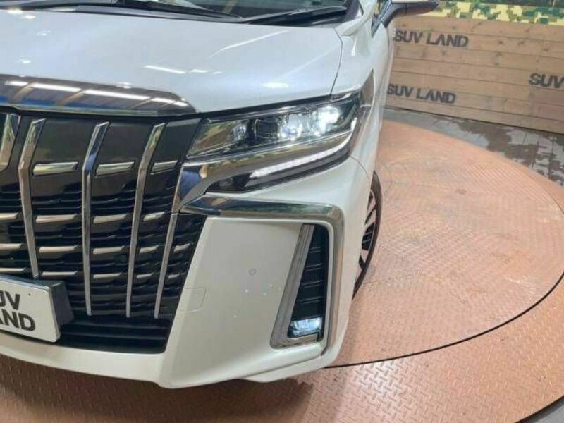 ALPHARD-12