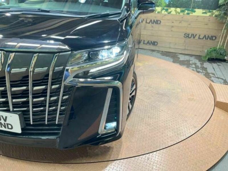 ALPHARD-11