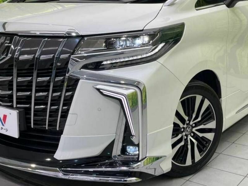 ALPHARD-13