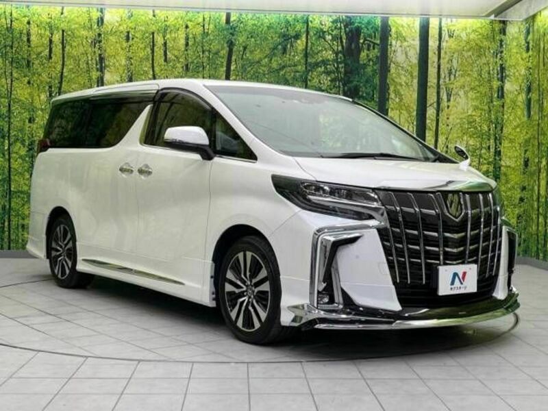 ALPHARD-17