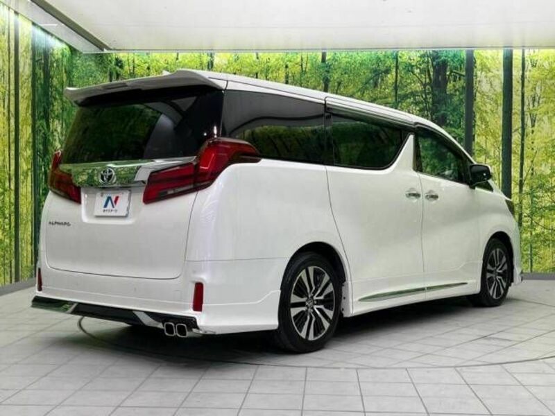 ALPHARD-18