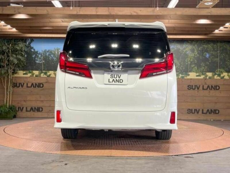 ALPHARD-17