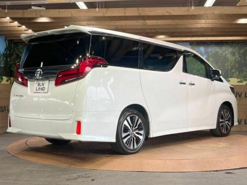 ALPHARD-19