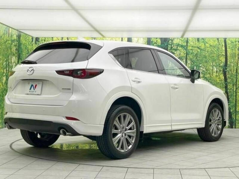 CX-5-17