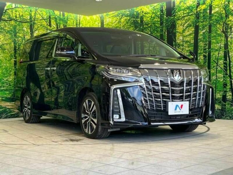 ALPHARD-17