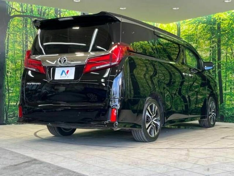 ALPHARD-18