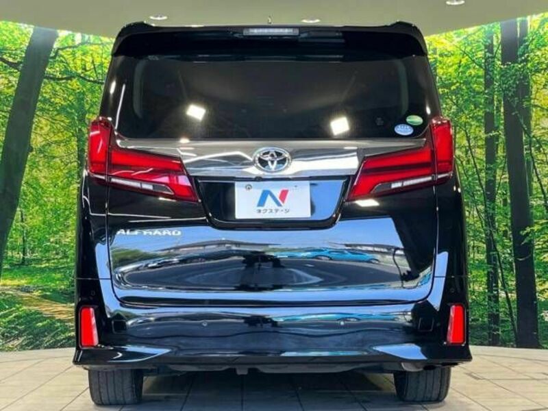 ALPHARD-16