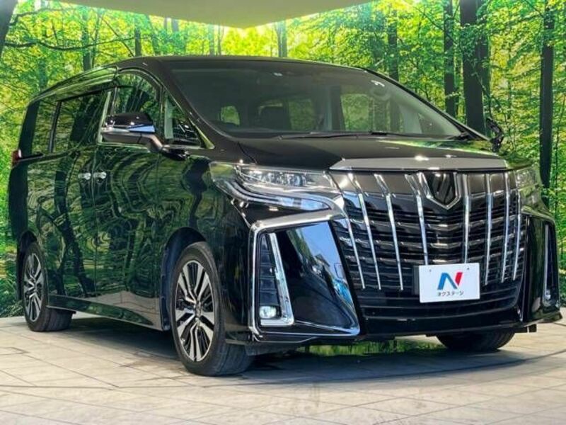 ALPHARD-17