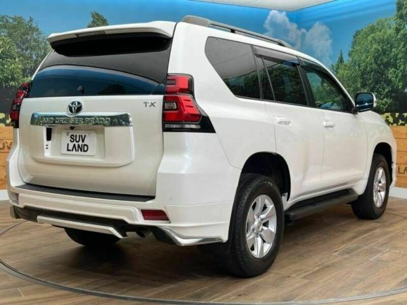 LAND CRUISER PRADO-18