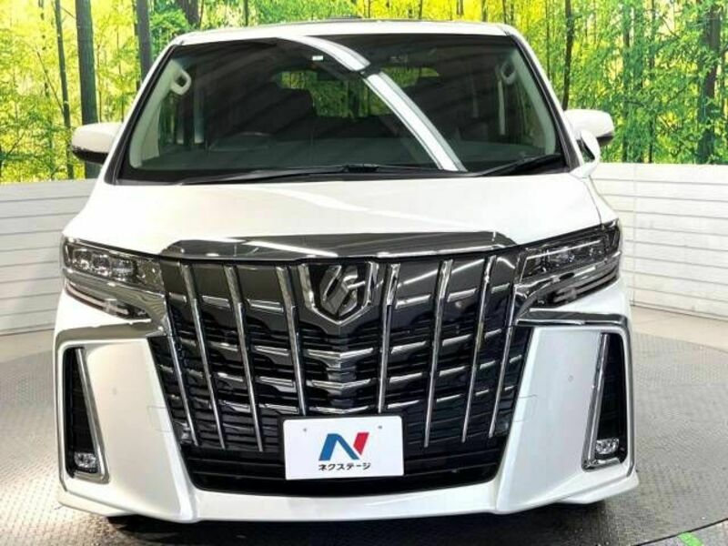 ALPHARD-15