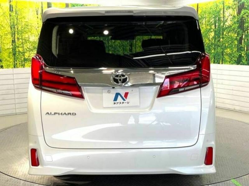 ALPHARD-16