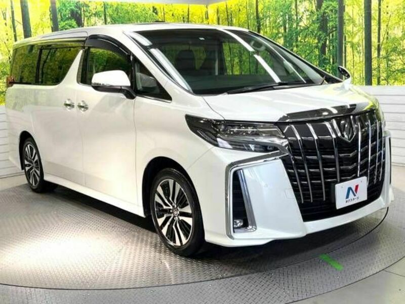 ALPHARD-17