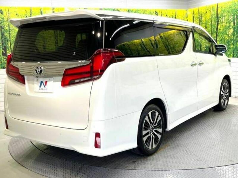 ALPHARD-18