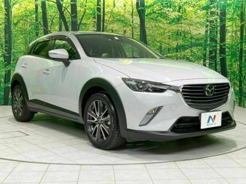 CX-3-16