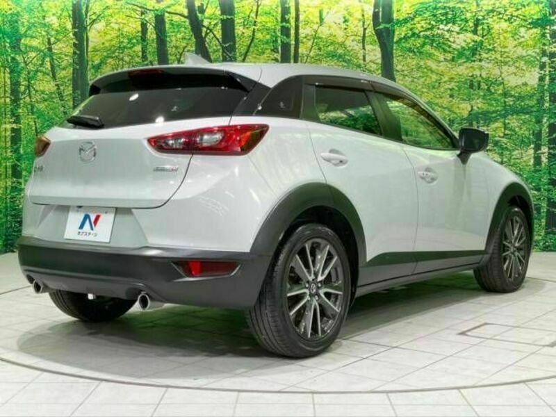 CX-3-17