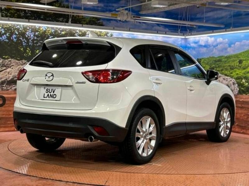 CX-5-17