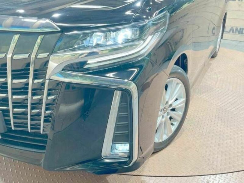 ALPHARD-12