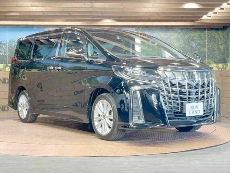 ALPHARD-16