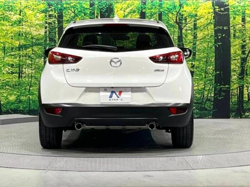 CX-3-15