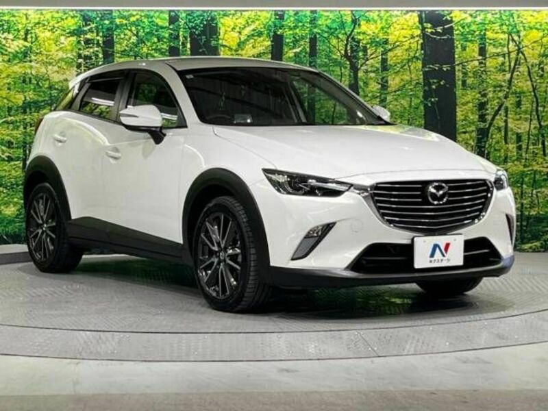 CX-3-16