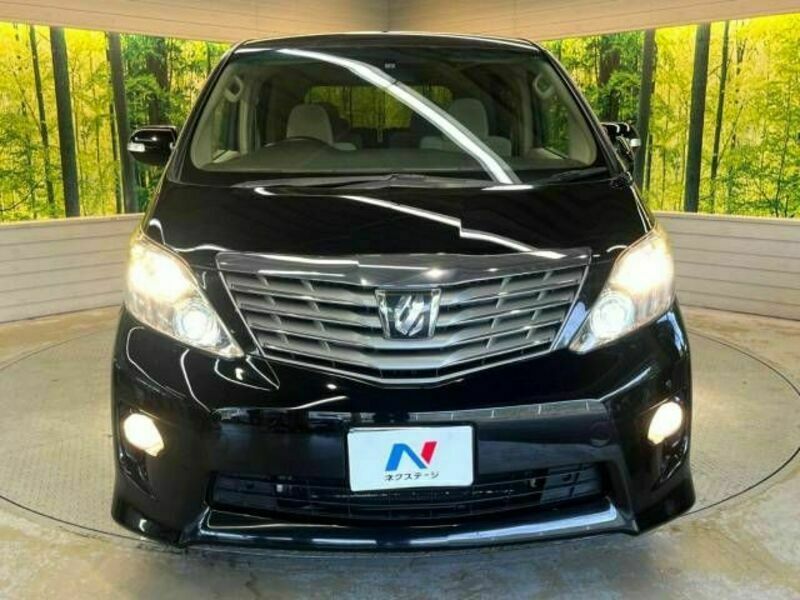 ALPHARD-15