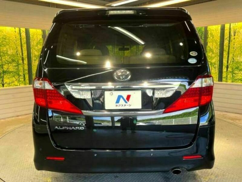 ALPHARD-16