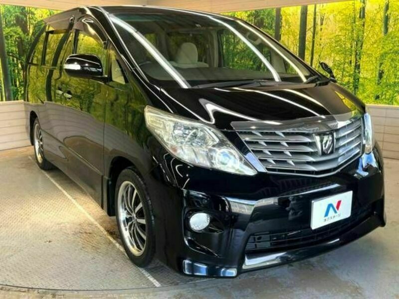 ALPHARD-17