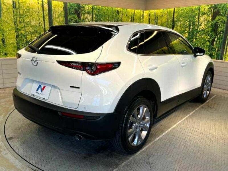 CX-30-17