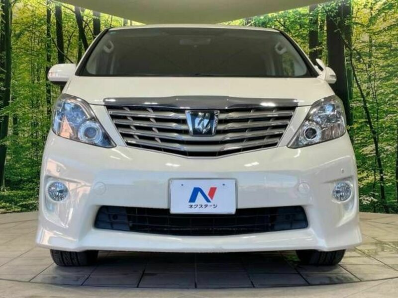 ALPHARD-15