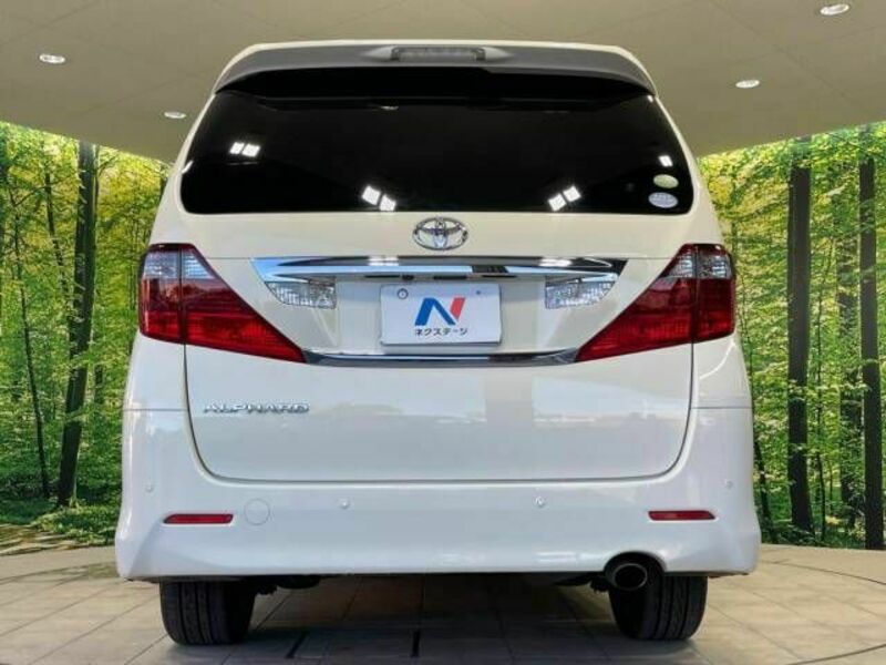 ALPHARD-16