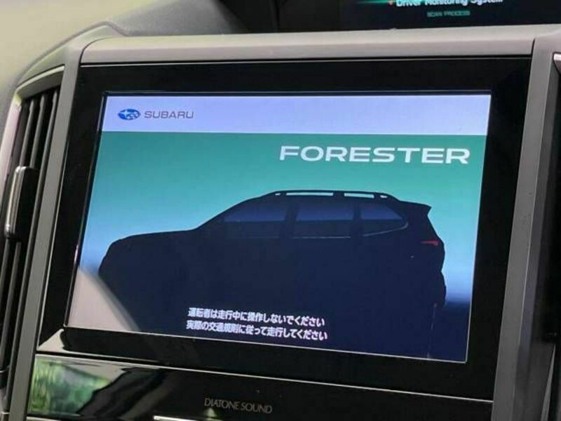 FORESTER-3